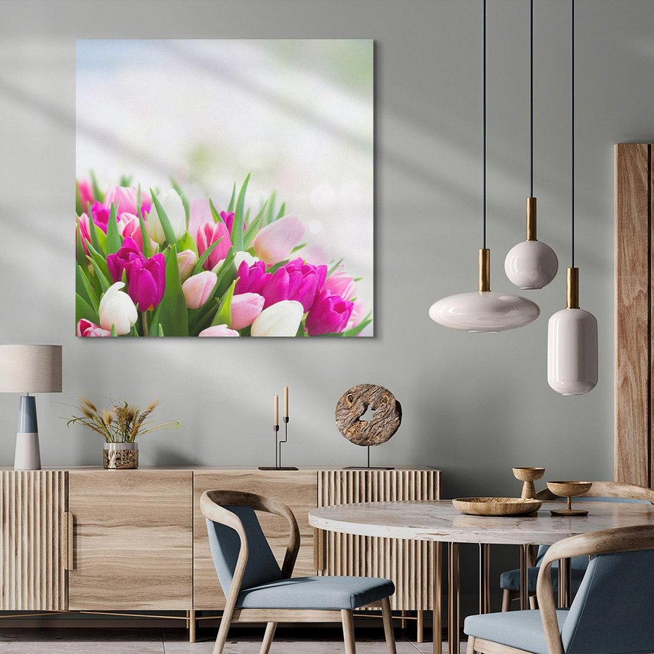 Obraz na płótnie 50x50 - Tulipany w pełnym rozkwicie - tulipany, kwiaty