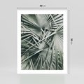 Plakat bez ramy 40x50 - Palmy w Zgaszonej Zieleni - palmy, tropikalne liście