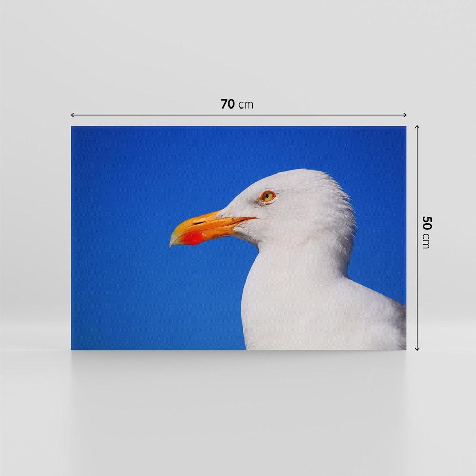 Obraz na płótnie 70x50 - Mewa nad morzem - mewa, pstak