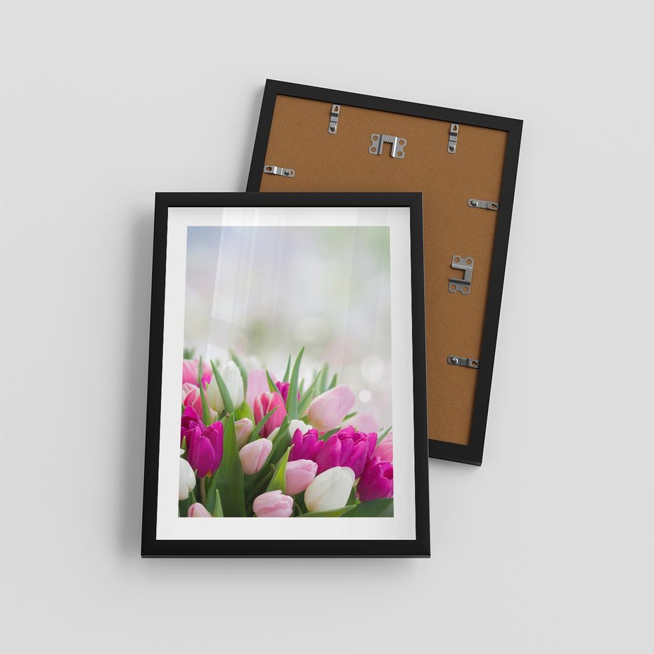 Plakat w ramie 30x40 - Tulipany w pełnym rozkwicie - tulipany, kwiaty - rama czarna