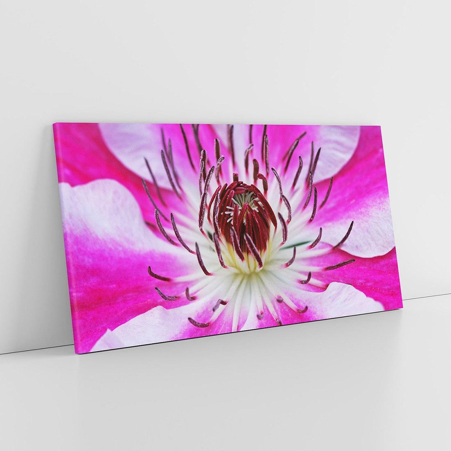 Obraz na płótnie 120x60 - delikatność natur - kwiat, kwiaty