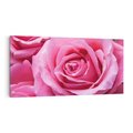 Obraz na płótnie 100x50 - Róża Wspaniałości - róża, kwiat