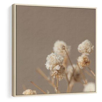 Obraz w ramie 80x80 - Przezroczyste piękno - gipsówka, suche - rama drewno