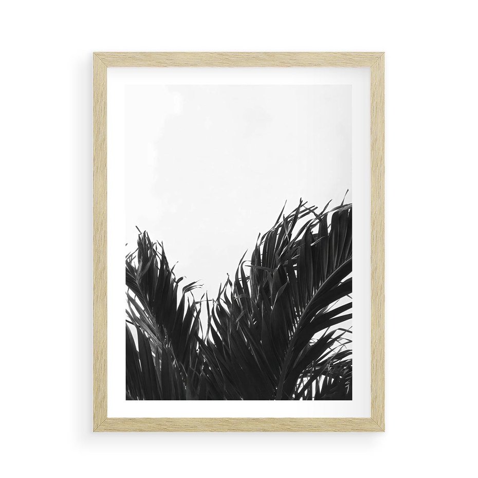 Plakat w ramie 50x70 - Tropikalna Uroda w Czerni i Bieli - fotografia czarno biała, liście palmy - rama drewno