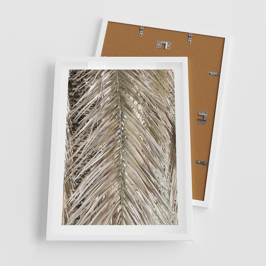 Plakat w ramie 50x70 - Boho Urok Palmy: Zbliżenie Natury - sucha palma, zbliżenie - rama biała