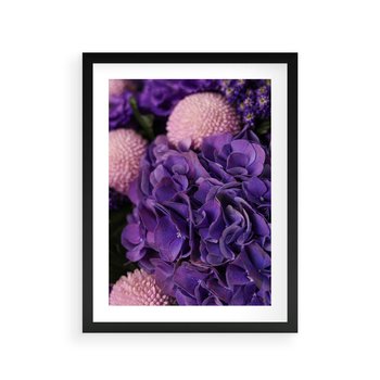 Plakat w ramie 40x50 - Fioletowa hortensja - kwiaty, hortensja - rama czarna
