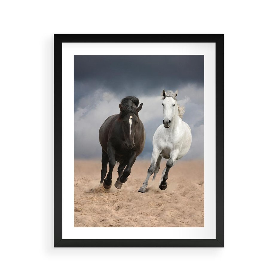 Plakat w ramie 40x50 - Siła koni w galopie - konie, galop - rama czarna