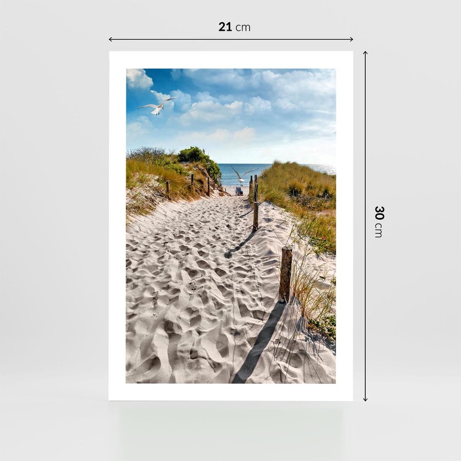 Plakat bez ramy 21x30 - Mewy nad Morzem - plaża, mewy