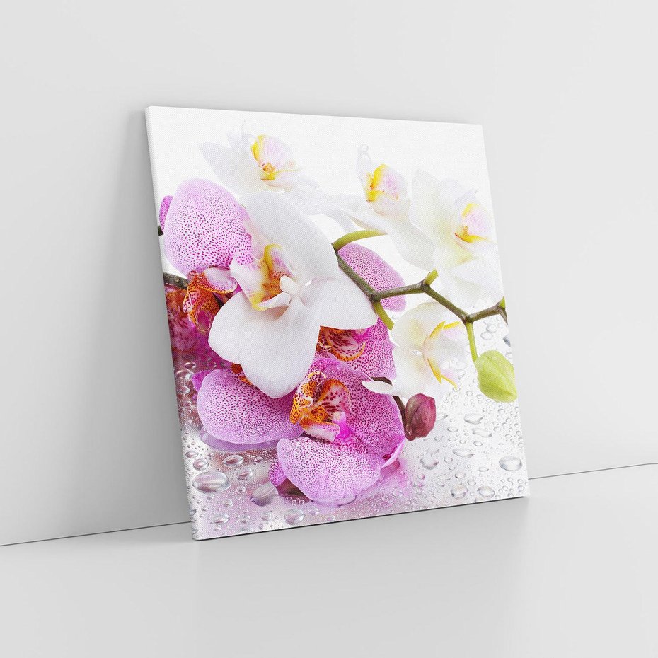 Obraz na płótnie 60x60 - Magia kwiatów - kwiaty