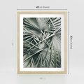 Plakat w ramie 40x50 - Palmy w Zgaszonej Zieleni - palmy, tropikalne liście - rama drewno