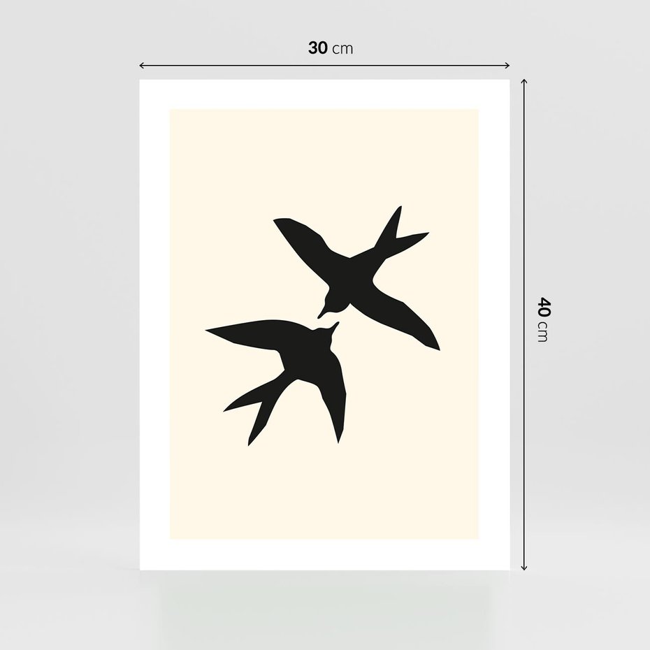 Plakat bez ramy 30x40 - Kreatywne Echa - jaskółki, minimalizm