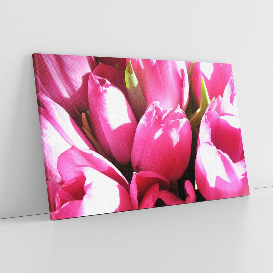 Obraz na płótnie 100x70 - Tulipany w pejzażu - tulipany, kwiaty