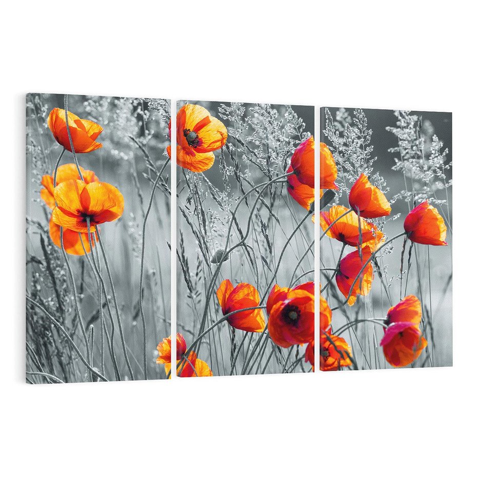 Obraz na płótnie 120x80 - Malownicza łąka - maki, mak