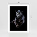 Plakat bez ramy 30x40 - Czarna pantera: majestat i siła - czarna, pantera