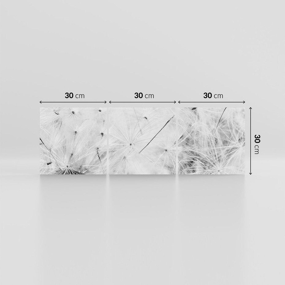 Obraz na płótnie 90x30 - Zdmuchnięty Puch - dmuchawce, delikatne