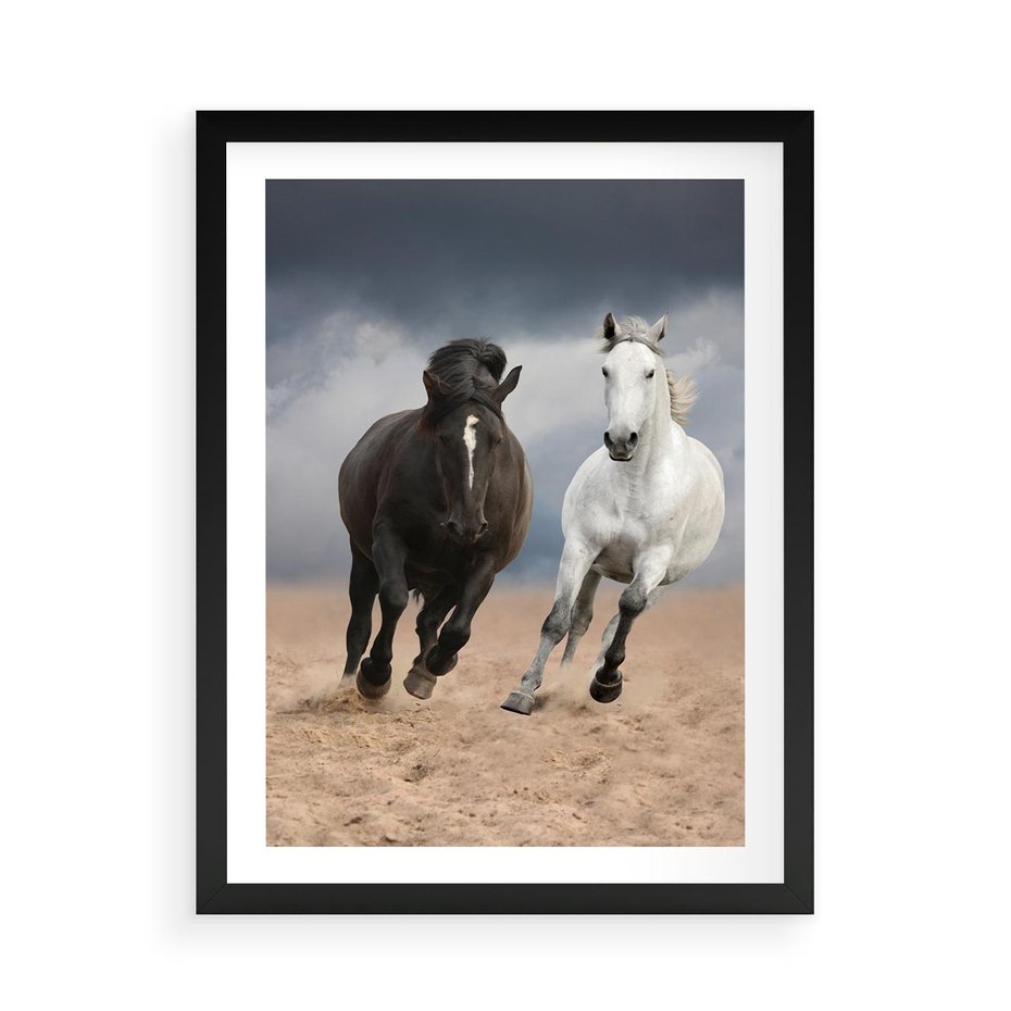 Plakat w ramie 50x70 - Siła koni w galopie - konie, galop - rama czarna