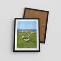 Plakat w ramie 30x40 - Górskie Owce - góry, owce - rama czarna