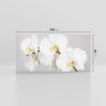 Obraz na płótnie 120x60 - kwiatowy urok - orchidea, kwiat