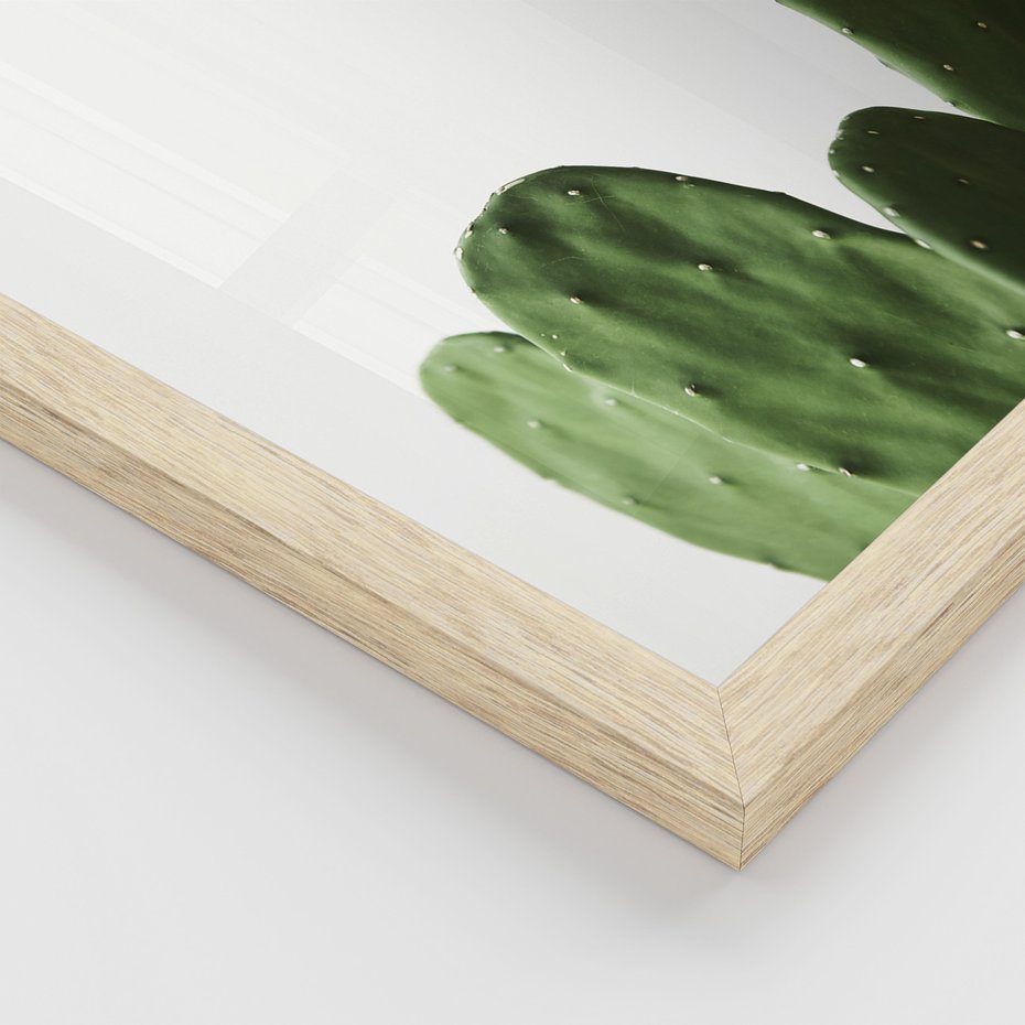 Zestaw obrazy w ramie 40x50 galeria - Kaktusy, minimalizm, boho, nowoczesny - rama drewno