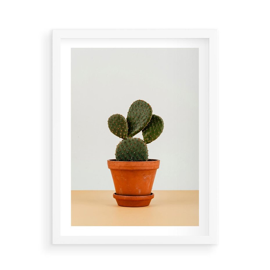 Plakat w ramie 50x70 - Kwiatowy taniec kaktusa - kaktus, kwiat - rama biała