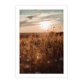 Plakat bez ramy 21x30 - Zachwyt zachodem słońca na łące - zachód, słońca