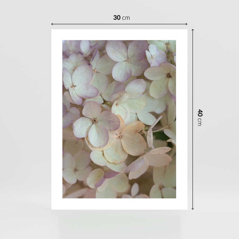Plakat bez ramy 30x40 - Kwiatowy taniec - kwiaty, hortensje