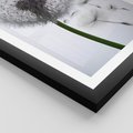 Plakat w ramie 50x70 - Lekkość Przemijania - dmuchawiec, makro - rama czarna