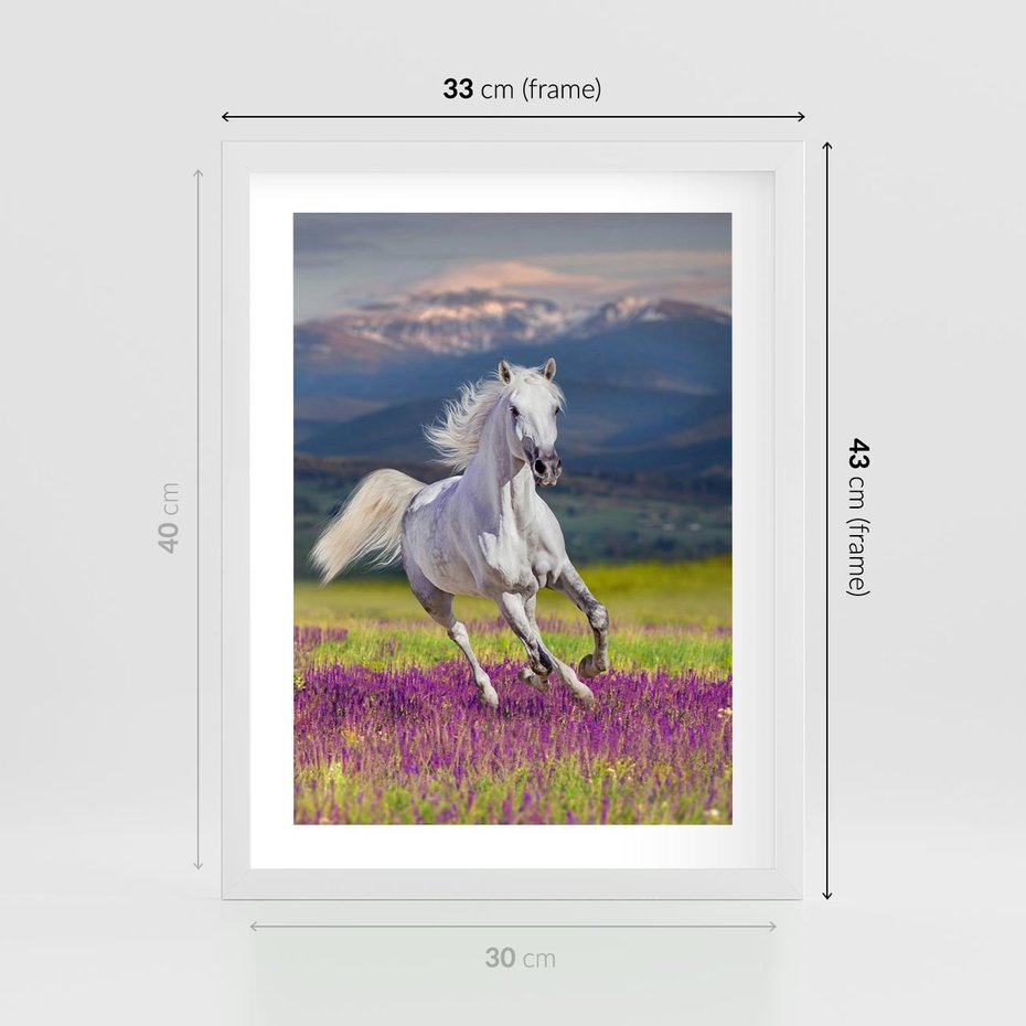 Plakat w ramie 30x40 - Koń Góry: Spotkanie z Wielką Przyrodą - koń, góry - rama biała
