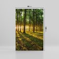 Obraz na płótnie 80x120 - Mistyfikujący urok leśnej głuszy - las, drzewa