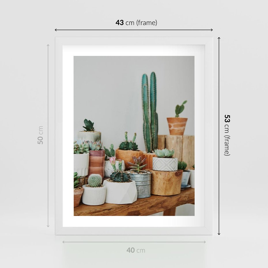 Plakat w ramie 40x50 - Kaktusowa Galeria w Doniczkach - kaktusy w doniczkach, fotografia - rama biała