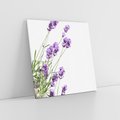 Obraz na płótnie 40x40 - Delikatny Urok - lawenda, kwiaty