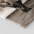 Obraz na płótnie 80x80 - Słoń - Wielki Przyjaciel Morza - słoń, plaża