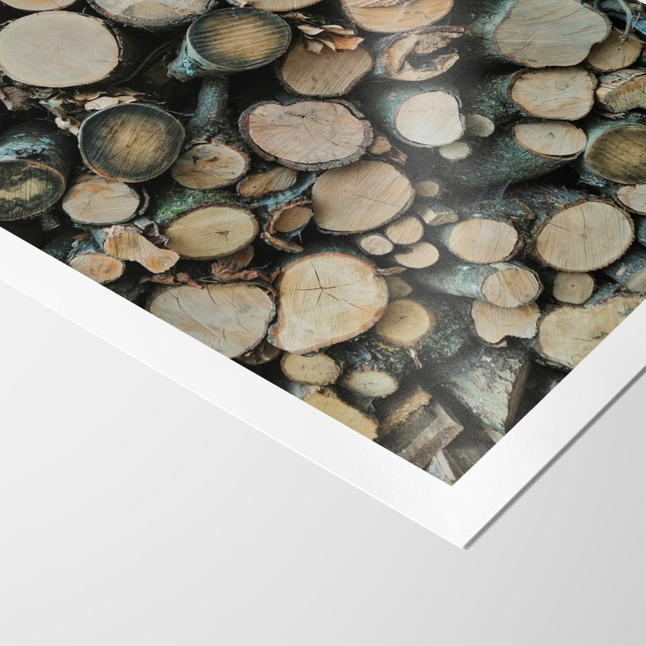 Plakat bez ramy 40x50 - Bliskość Natury - drewno, las