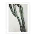 Plakat bez ramy 50x70 - Zielona Roślina z Liśćmi - zielona roślina, liście