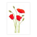Plakat bez ramy 21x30 - Pola maków w pełnym kolorze - maki, kwiaty