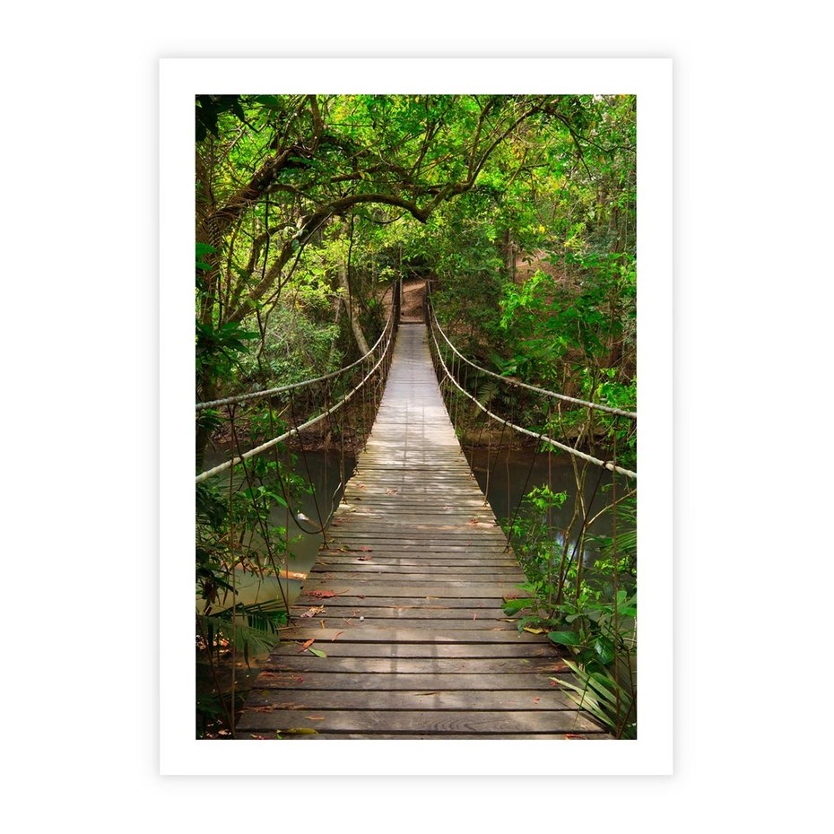 Plakat bez ramy 21x30 - Przez Dżunglę - most, linowy