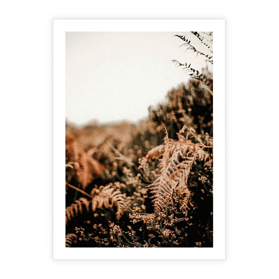 Plakat bez ramy 21x30 - Jesienna Harmonia - suche paprocie, jesienny krajobraz