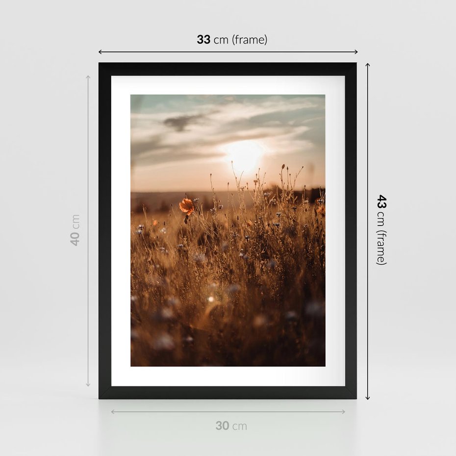 Plakat w ramie 30x40 - Zachwyt zachodem słońca na łące - zachód, słońca - rama czarna