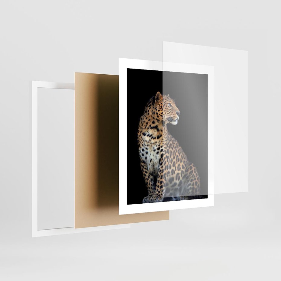 Plakat w ramie 40x50 - Elegancja Jaguarowej Pantery - jaguar, pantera - rama biała