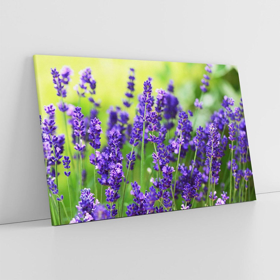Obraz na płótnie 100x70 - Elegancka lawenda w pełnym rozkwicie - lawenda, kwiaty