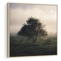Obraz w ramie 50x50 - Zamglona Prostota - artystyczna fotografia, samotne drzewo na zamglonej łące - rama drewno