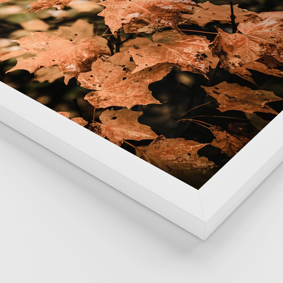 Zestaw obrazy w ramie 30x40 galeria - Jesień, liście, droga - rama biała