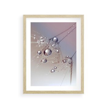 Plakat w ramie 30x40 - Delikatne Natchnienie - krople, dmuchawce - rama drewno