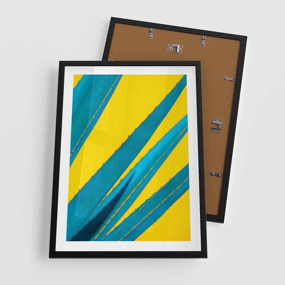 Plakat w ramie 50x70 - Świeżość Natury - aloes, liście - rama czarna