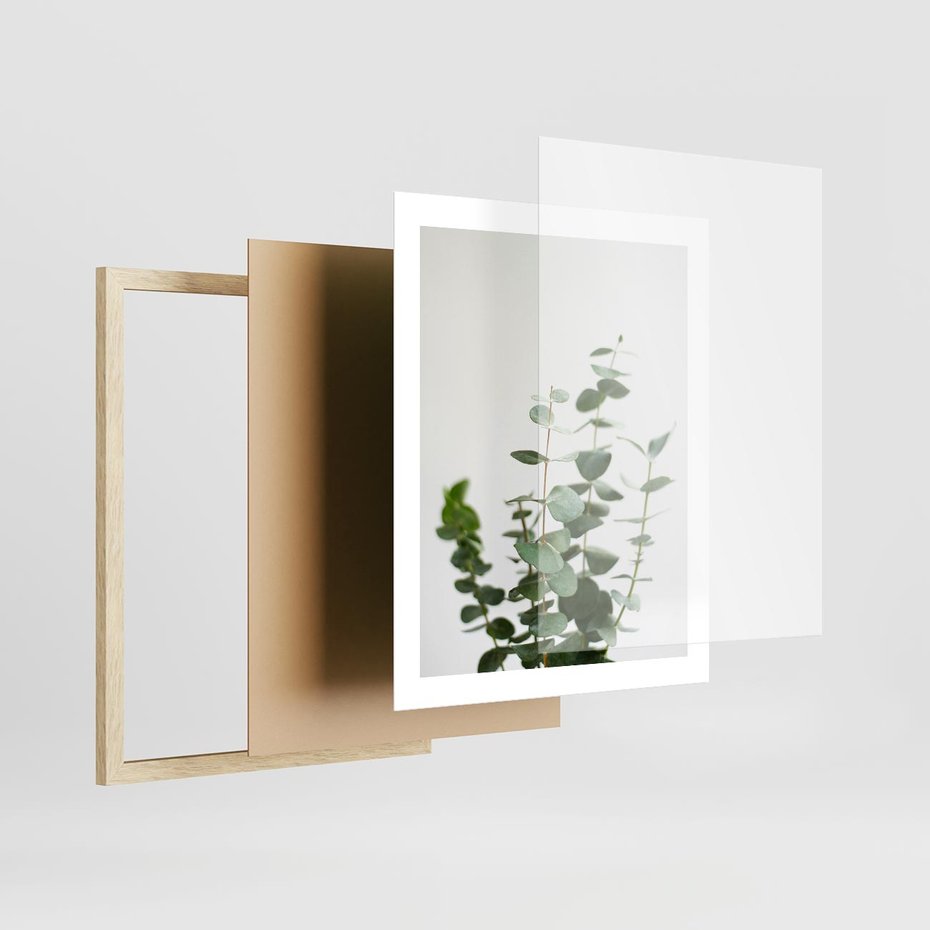Plakat w ramie 40x50 - Żywa eukaliptusowa zieleń - eukaliptus, zielone - rama drewno