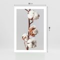 Plakat bez ramy 21x30 - Spokojna Gałązka Bawełny - gałązka bawełny, prosta spokojna fotografia
