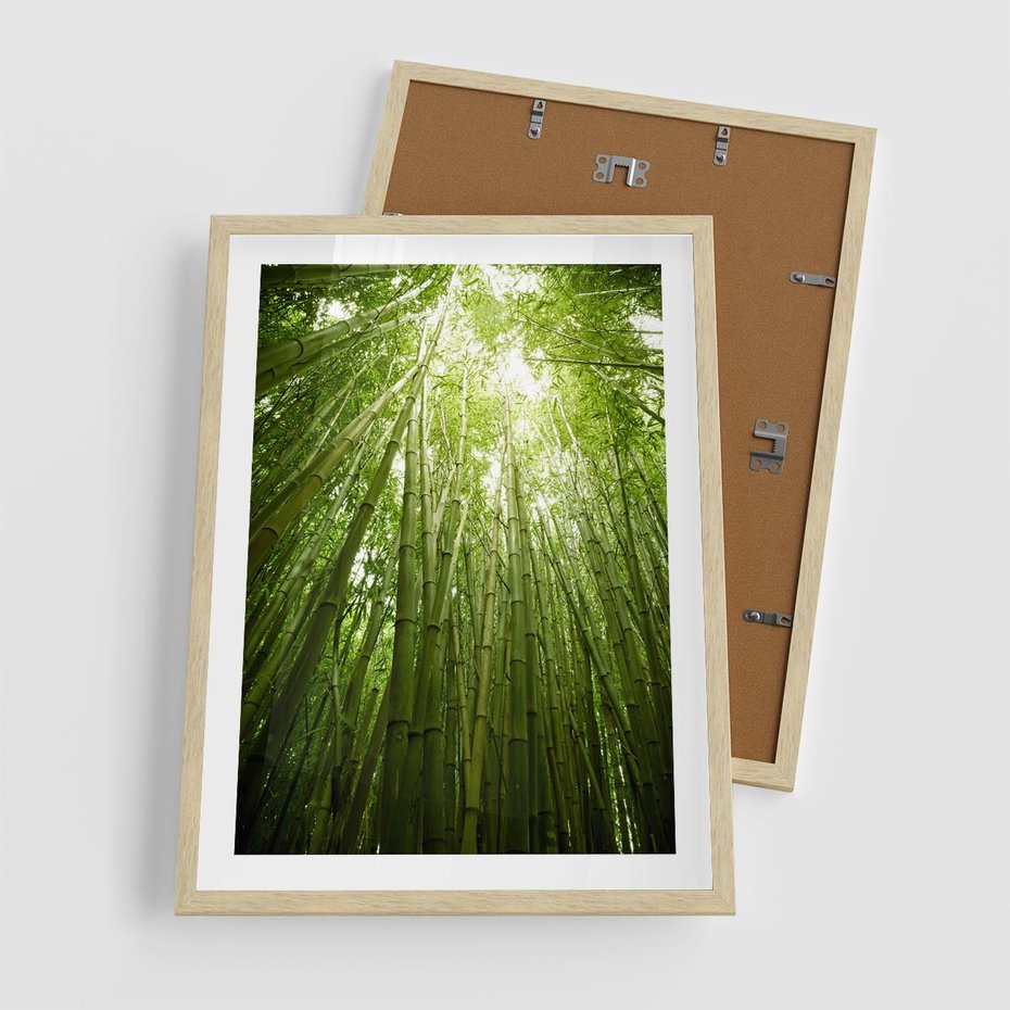 Plakat w ramie 50x70 - Siła Natury - drzewa, las - rama drewno