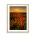 Plakat w ramie 50x70 - Maki przy zachodzie słońca - maki, zachód - rama drewno
