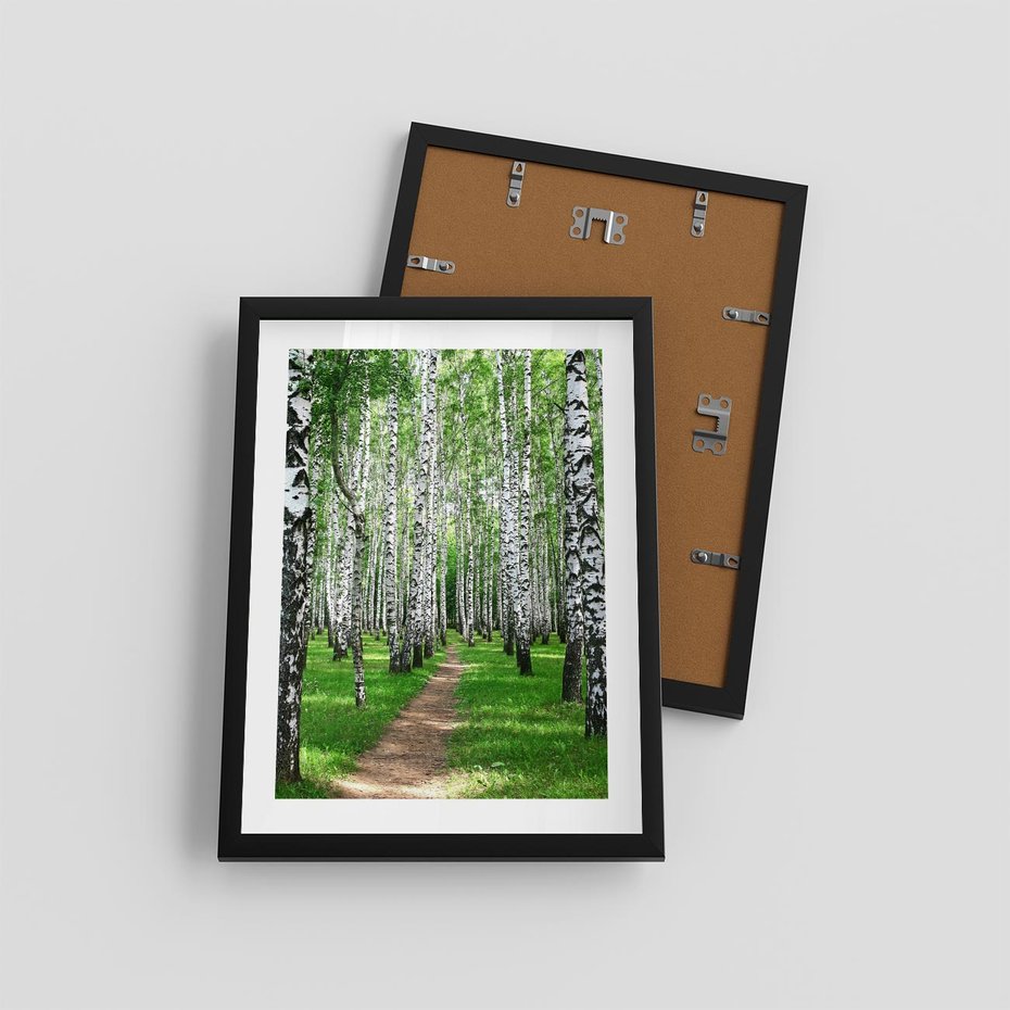 Plakat w ramie 30x40 - Bajkowy las pełen brzóz - las, brzozy - rama czarna