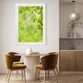 Plakat bez ramy 30x40 - Zielone liście natury - liści, zieleń